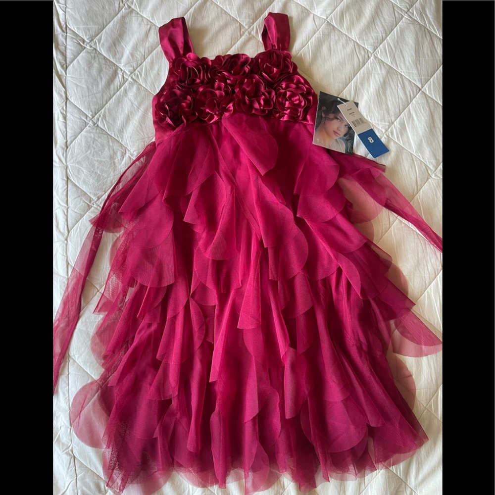 NWT Beautiful Biscotti Girls Dress Size 8